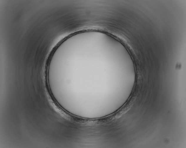 X0000094431038200712061109