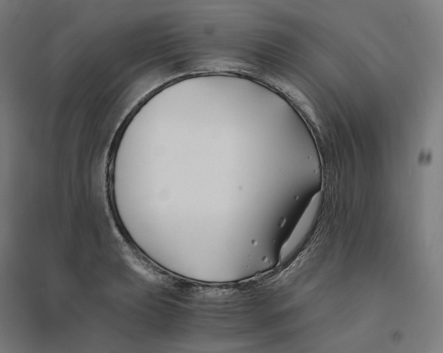 X0000094431039200712061109