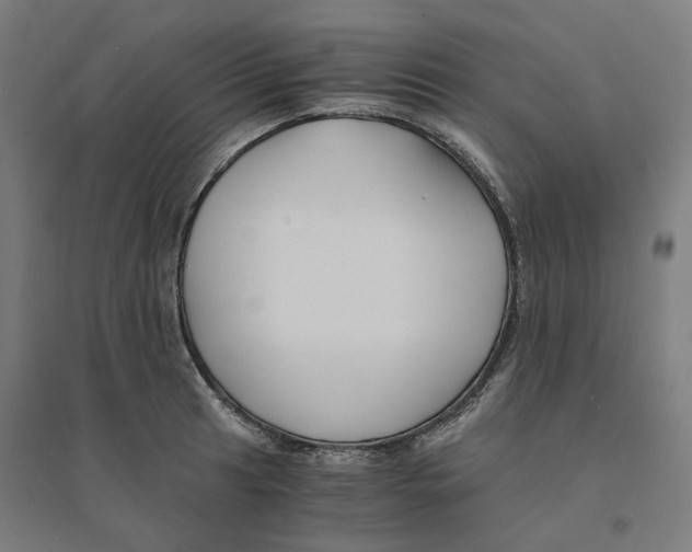 X0000094431041200712061109