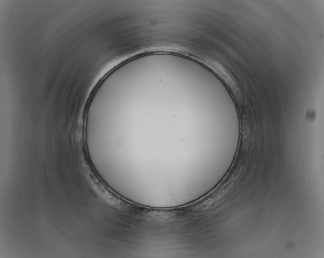 X0000094431044200712061109