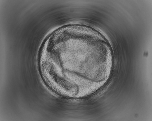 X0000094431045200712061109