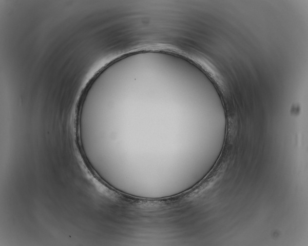 X0000094431046200712061109