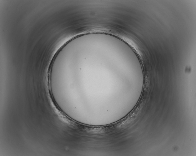 X0000094431047200712061109