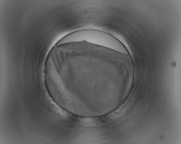 X0000094431048200712061109