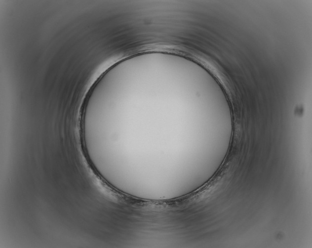 X0000094431050200712061109