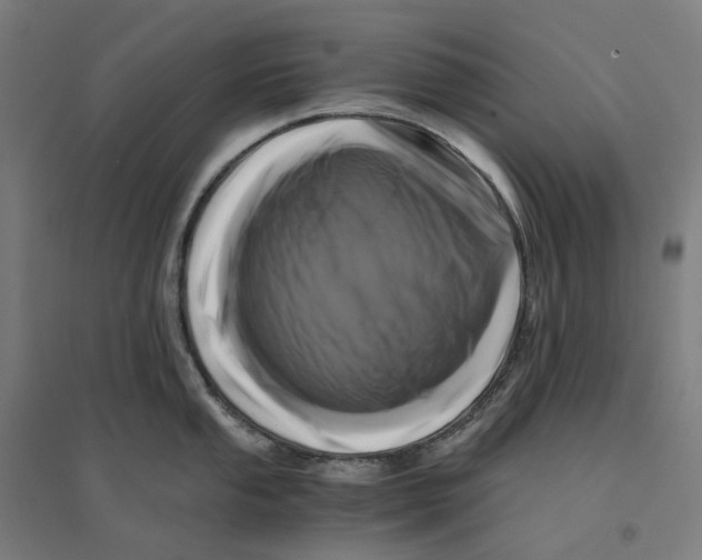 X0000094431053200712061109