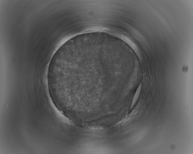 X0000094431055200712061110