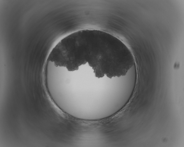 X0000094431056200712061110