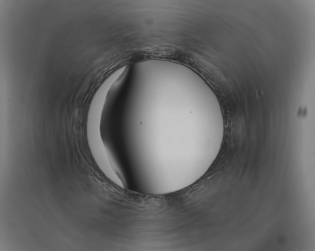 X0000094431058200712061109