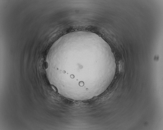 X0000094431059200712061109