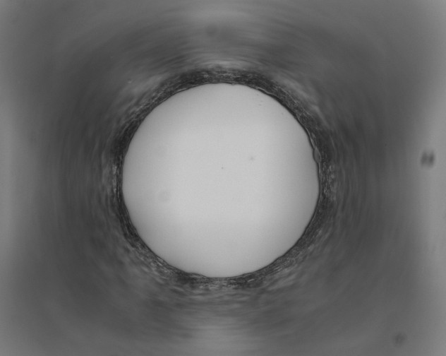 X0000094431061200712061109