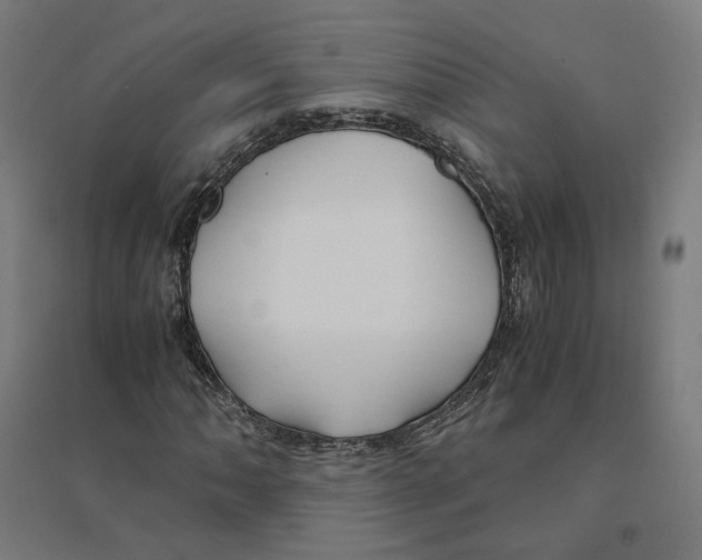 X0000094431062200712061109