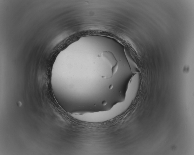 X0000094431064200712061109