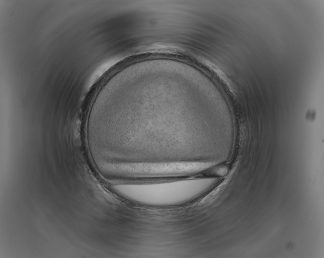 X0000094431066200712061109