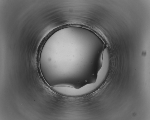 X0000094431068200712061109