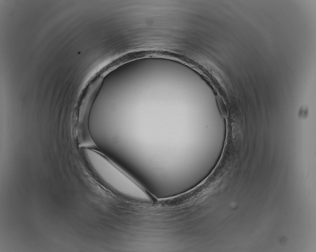 X0000094431069200712061109