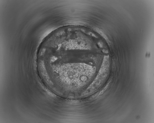 X0000094431071200712061109