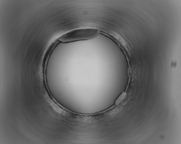 X0000094431072200712061109