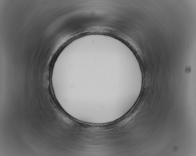 X0000094431075200712061109