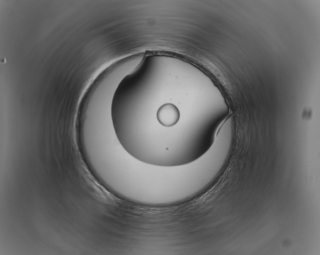 X0000094431076200712061108