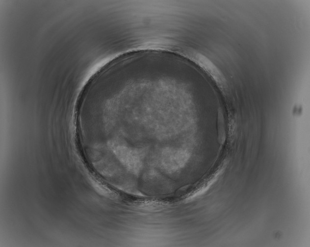 X0000094431077200712061108