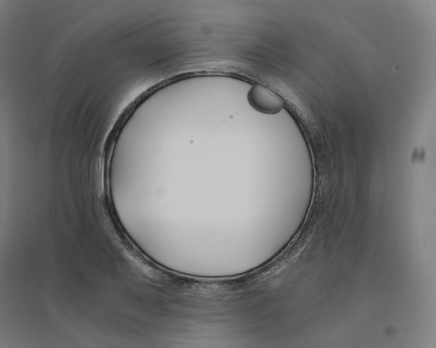 X0000094431079200712061108