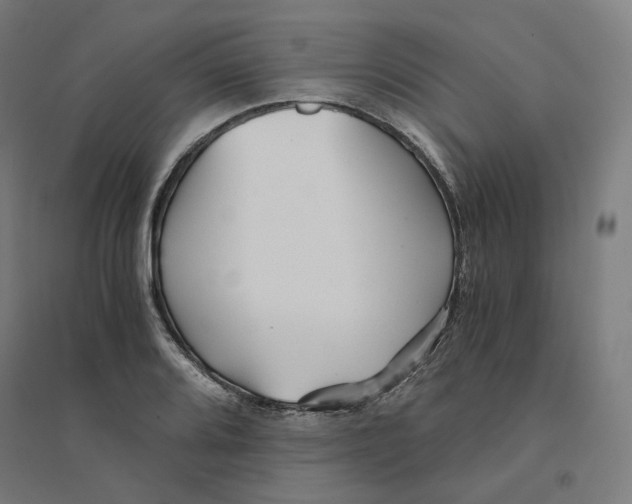 X0000094431080200712061108