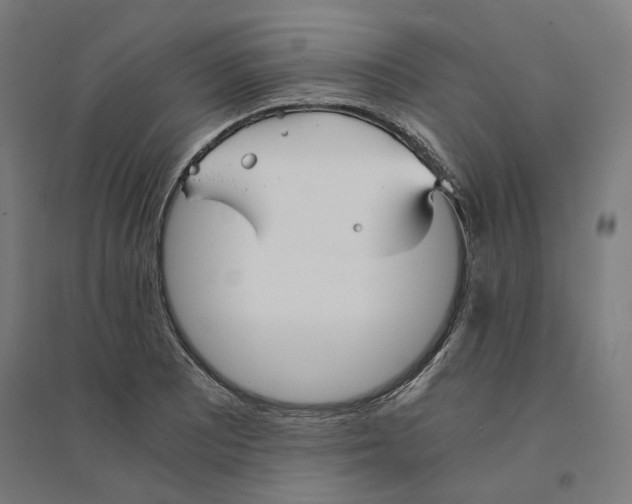 X0000094431081200712061108