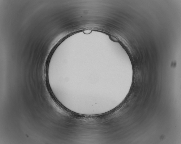 X0000094431082200712061108