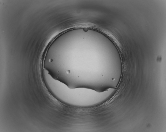 X0000094431083200712061108