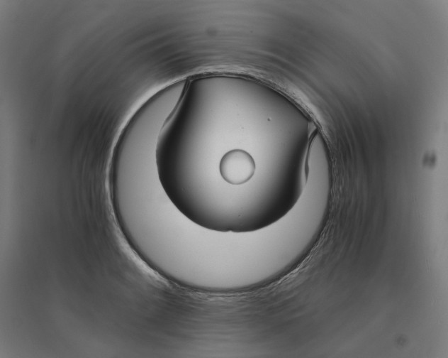 X0000094431084200712061108