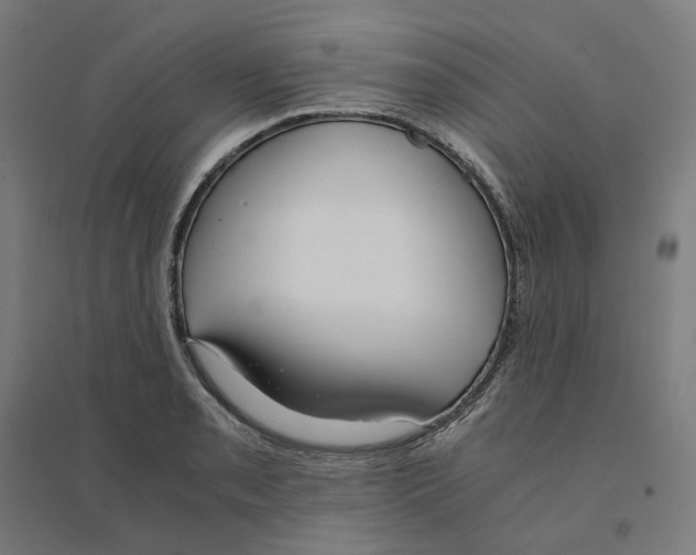 X0000094431085200712061108