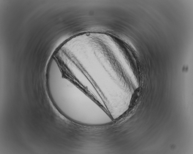 X0000094431087200712061108