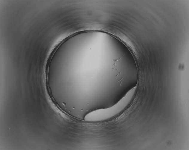 X0000094431088200712061108