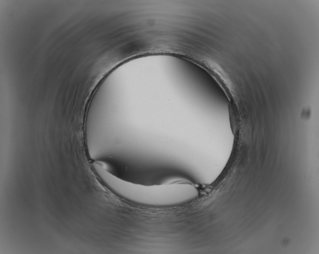 X0000094431089200712061108