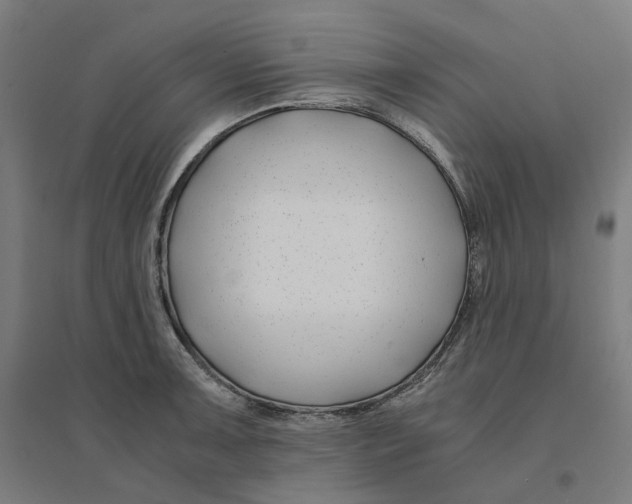 X0000094431091200712061108