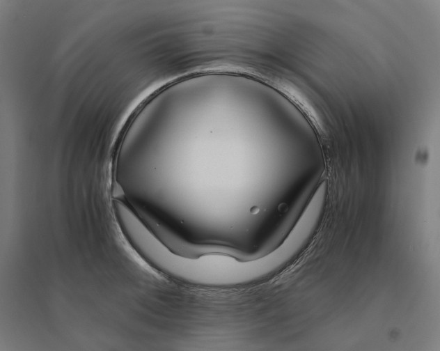 X0000094431092200712061108