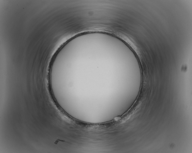 X0000094431093200712061108