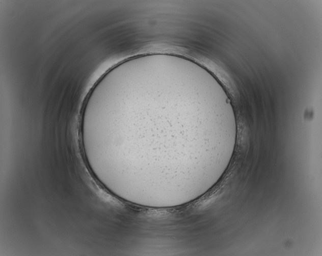 X0000094431094200712061108