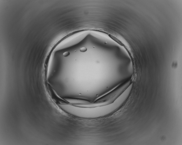 X0000094431096200712061108