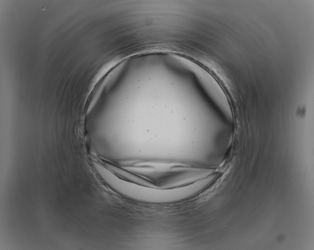 X0000094431097200712061108