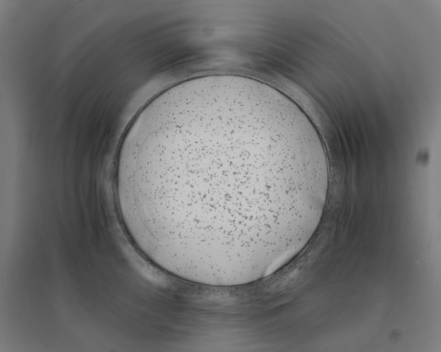 X0000094431098200712061108