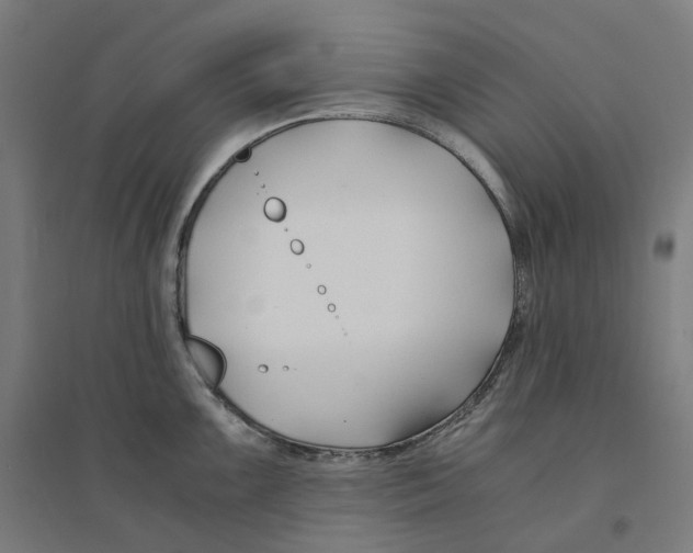 X0000094431099200712061108