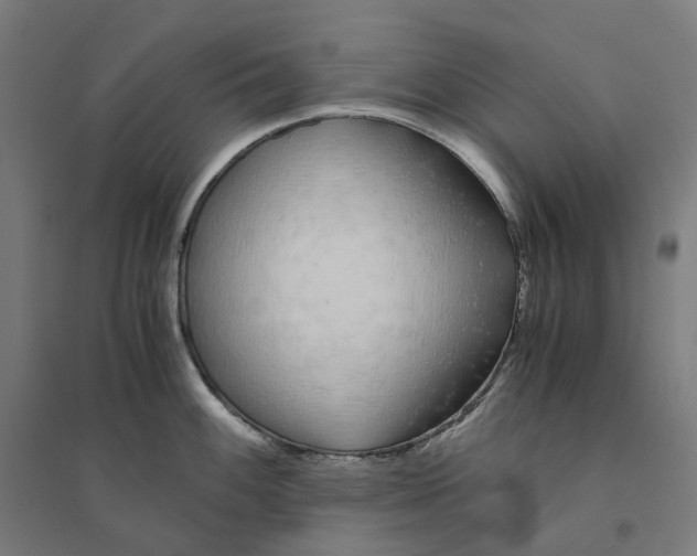 X0000094431100200712061108