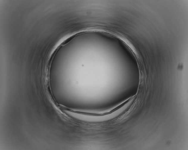 X0000094431101200712061108