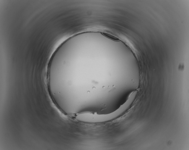 X0000094431103200712061108