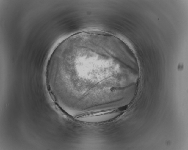 X0000094431104200712061108