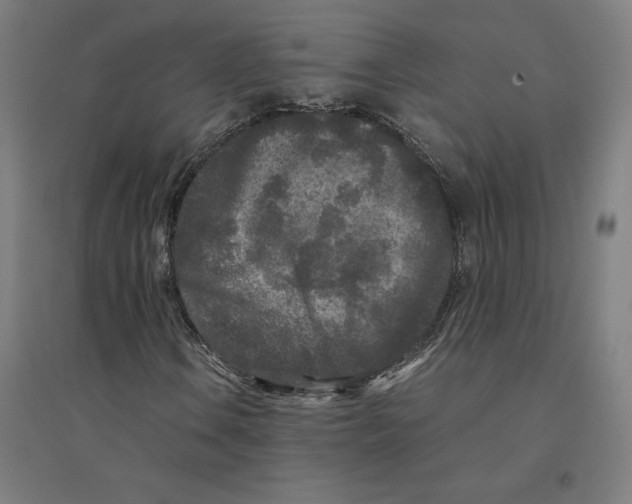 X0000094431106200712061107