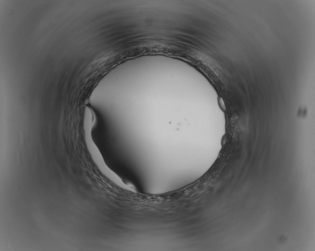 X0000094431111200712061108