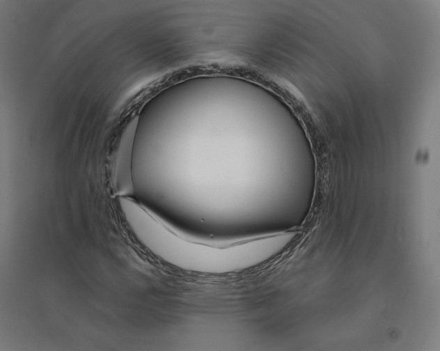 X0000094431112200712061108